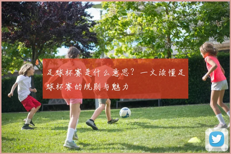 足球杯赛是什么意思?一文读懂足球杯赛的规则与魅力