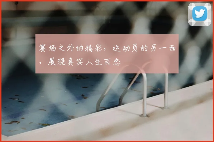 赛场之外的精彩,运动员的另一面,展现真实人生百态